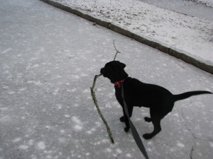 021 Tebow. He didn't seem cold.