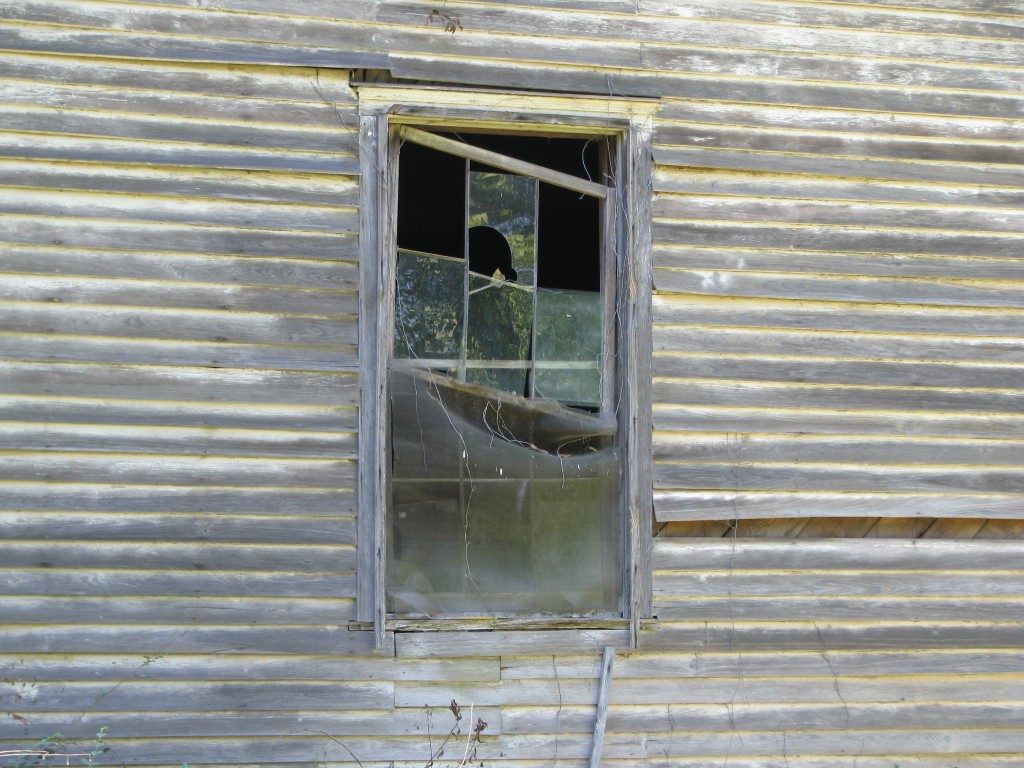 011