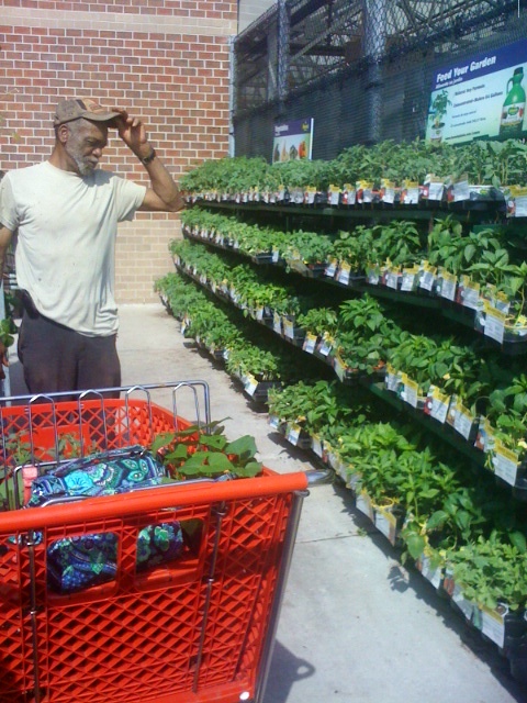 lofton garden