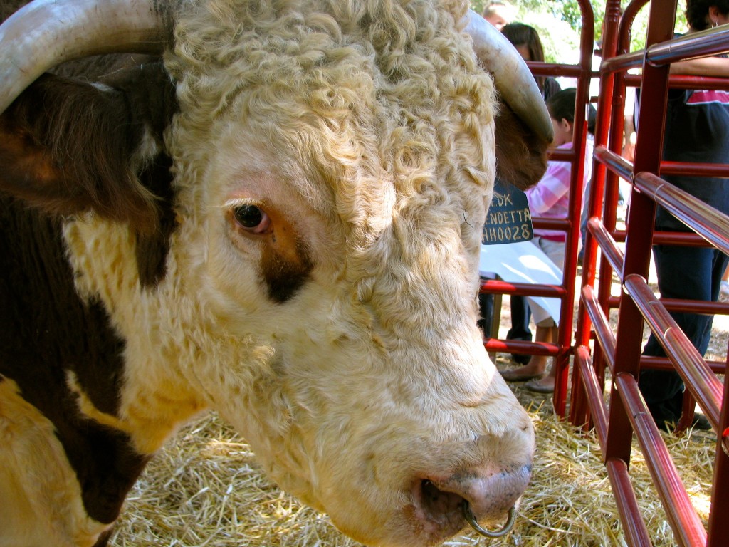 milk1