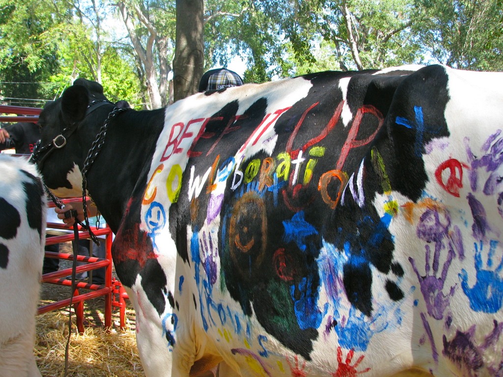 milk6