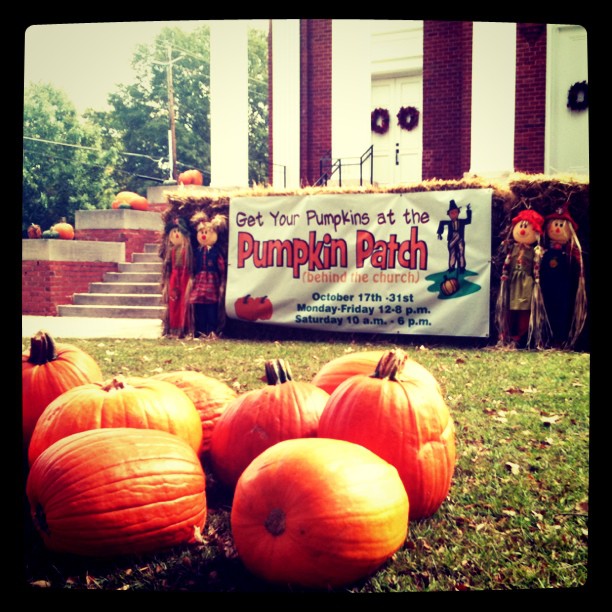 pumpkins3