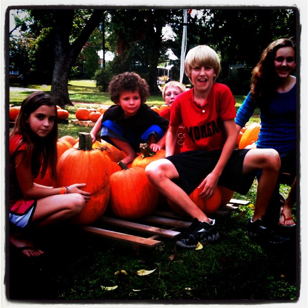 pumpkins6