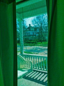 IMG_0751