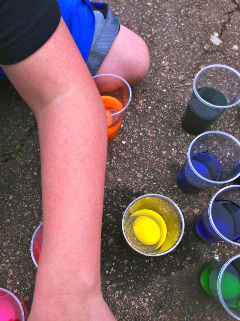 IMG_0905
